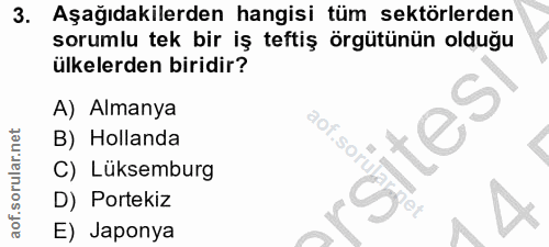 3. soru: Aşağıdakilerden hangisi tüm sektörlerden sorumlu tek bir iş teftiş örgütünün olduğu ülkelerden biridir? A) Almanya B)…