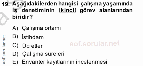 19. soru: Aşağıdakilerden hangisi çalışma yaşamında iş denetiminin ikincil görev alanlarından biridir? A) Çalışma ortamı B) İst…