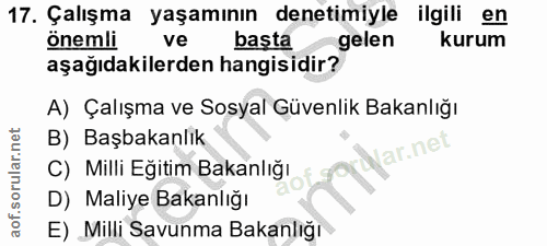 17. soru: Çalışma yaşamının denetimiyle ilgili en önemli ve başta gelen kurum aşağıdakilerden hangisidir? A) Çalışma ve Sosyal…