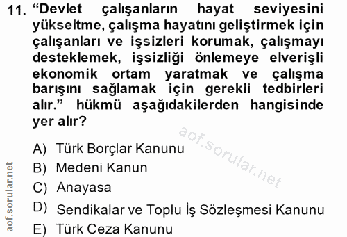 11. soru: "Devlet çalışanların hayat seviyesini yükseltme, çalışma hayatını geliştirmek için çalışanları ve işsizleri korumak,…