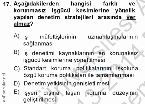 17. soru: Aşağıdakilerden hangisi farklı ve korunmasız işgücü kesimlerine yönelik yapılan denetim stratejileri arasında yer alm…