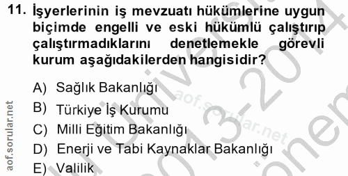 11. soru: İşyerlerinin iş mevzuatı hükümlerine uygun biçimde engelli ve eski hükümlü çalıştırıp çalıştırmadıklarını denetlemekl…