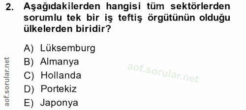 2. soru: Aşağıdakilerden hangisi tüm sektörlerden sorumlu tek bir iş teftiş örgütünün olduğu ülkelerden biridir? A) Lüksemburg…