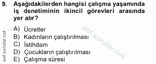 9. soru: Aşağıdakilerden hangisi çalışma yaşamında iş denetiminin ikincil görevleri arasında yer alır? A) Ücretler B) Kadınlar…