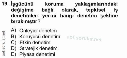 19. soru: Işgücünü koruma yaklaşımlarındaki değişime bağlı olarak, tepkisel iş denetimleri yerini hangi denetim şekline bırakmı…