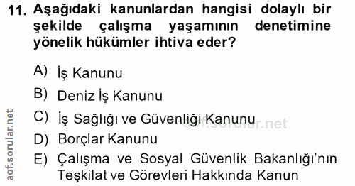 11. soru: Aşağıdaki kanunlardan hangisi dolaylı bir şekilde çalışma yaşamının denetimine yönelik hükümler ihtiva eder? A) İş Ka…