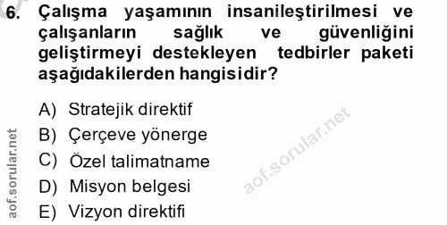 6. soru: Çalışma yaşamının insanileştirilmesi ve çalışanların sağlık ve güvenliğini geliştirmeyi destekleyen tedbirler paketi…