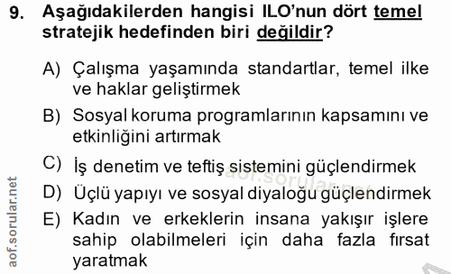 9. soru: Aşağıdakilerden hangisi ILO'nun dört temel stratejik hedefinden biri değildir? A) Çalışma yaşamında standartlar, teme…