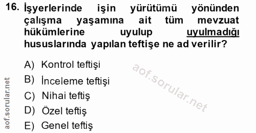 16. soru: Işyerlerinde işin yürütümü yönünden çalışma yaşamına ait tüm mevzuat hükümlerine uyulup uyulmadığı hususlarında yapıl…