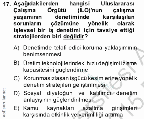 17. soru: Aşağıdakilerden hangisi Uluslararası Çalışma Örgütü (ILO)'nun çalışma yaşamının denetiminde karşılaşılan sorunların ç…