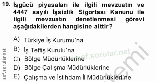 19. soru: Işgücü piyasaları ile ilgili mevzuatın ve 4447 sayılı İşsizlik Sigortası Kanunu ile ilgili mevzuatın denetlenmesi gör…