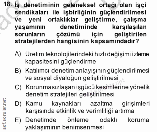 18. soru: İş denetiminin geleneksel ortağı olan işçi sendikaları ile işbirliğinin güçlendirilmesi ve yeni ortaklıklar geliştirm…