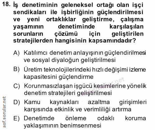 18. soru: Iş denetiminin geleneksel ortağı olan işçi sendikaları ile işbirliğinin güçlendirilmesi ve yeni ortaklıklar geliştirm…