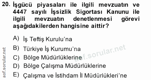 20. soru: Işgücü piyasaları ile ilgili mevzuatın ve 4447 sayılı İşsizlik Sigortası Kanunu ile ilgili mevzuatın denetlenmesi gör…