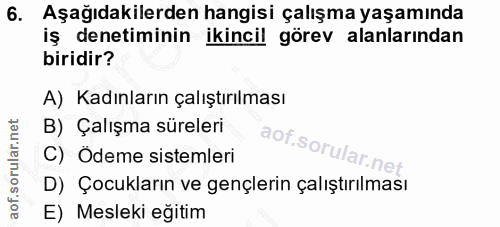 6. soru: Aşağıdakilerden hangisi çalışma yaşamında iş denetiminin ikincil görev alanlarından biridir? A) Kadınların çalıştırıl…