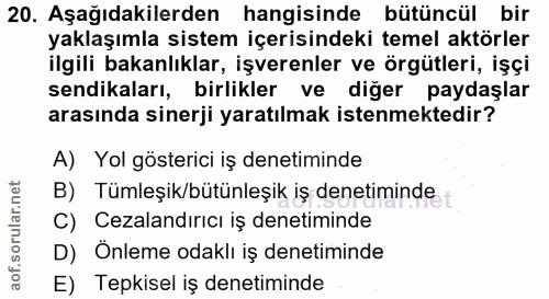 20. soru: Aşağıdakilerden hangisinde bütüncül bir yaklaşımla sistem içerisindeki temel aktörler ilgili bakanlıklar, işverenler…