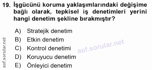 19. soru: İşgücünü koruma yaklaşımlarındaki değişime bağlı olarak, tepkisel iş denetimleri yerini hangi denetim şekline bırakmı…