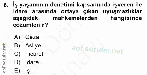 6. soru: İş yaşamının denetimi kapsamında işveren ile idare arasında ortaya çıkan uyuşmazlıklar aşağıdaki mahkemelerden hangis…