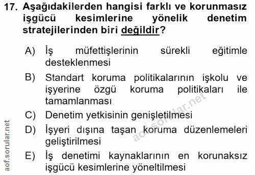 17. soru: Aşağıdakilerden hangisi farklı ve korunmasız işgücü kesimlerine yönelik denetim stratejilerinden biri değildir? A) İş…