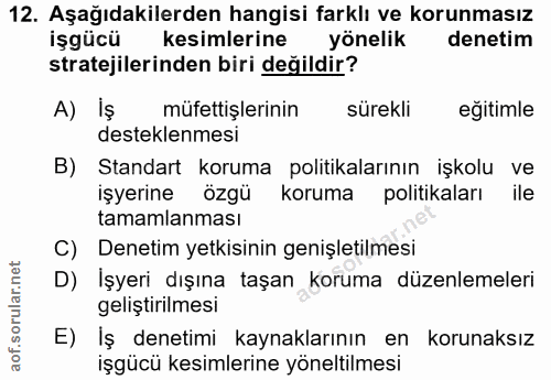12. soru: Aşağıdakilerden hangisi farklı ve korunmasız işgücü kesimlerine yönelik denetim stratejilerinden biri değildir? A) Iş…