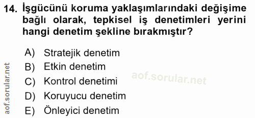 14. soru: İşgücünü koruma yaklaşımlarındaki değişime bağlı olarak, tepkisel iş denetimleri yerini hangi denetim şekline bırakmı…