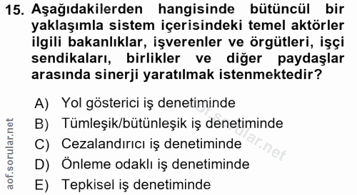 15. soru: Aşağıdakilerden hangisinde bütüncül bir yaklaşımla sistem içerisindeki temel aktörler ilgili bakanlıklar, işverenler…