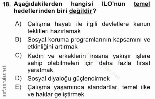 18. soru: Aşağıdakilerden hangisi ILO'nun temel hedeflerinden biri değildir? A) Çalışma hayatı ile ilgili devletlere kanun tekl…