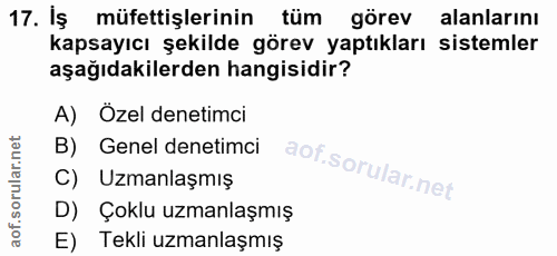 17. soru: İş müfettişlerinin tüm görev alanlarını kapsayıcı şekilde görev yaptıkları sistemler aşağıdakilerden hangisidir? A) Ö…
