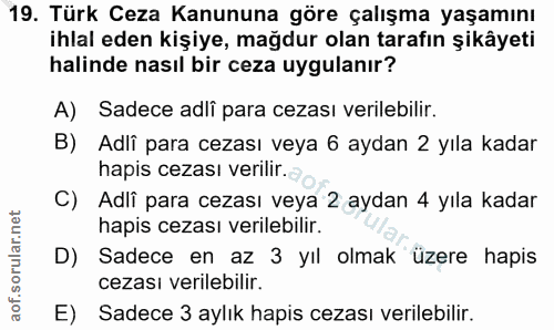 19. soru: Türk Ceza Kanununa göre çalışma yaşamını ihlal eden kişiye, mağdur olan tarafın şikâyeti halinde nasıl bir ceza uygul…