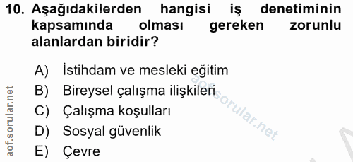 10. soru: Aşağıdakilerden hangisi iş denetiminin kapsamında olması gereken zorunlu alanlardan biridir? A) İstihdam ve mesleki e…