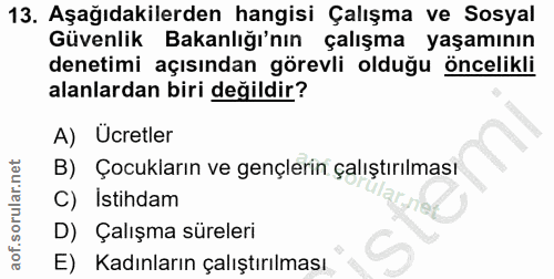 13. soru: Aşağıdakilerden hangisi Çalışma ve Sosyal Güvenlik Bakanlığı'nın çalışma yaşamının denetimi açısından görevli olduğu…