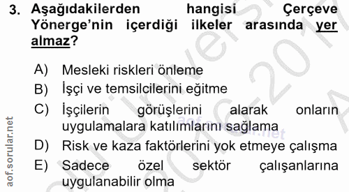3. soru: Aşağıdakilerden hangisi Çerçeve Yönerge'nin içerdiği ilkeler arasında yer almaz? A) Mesleki riskleri önleme B) Işçi v…