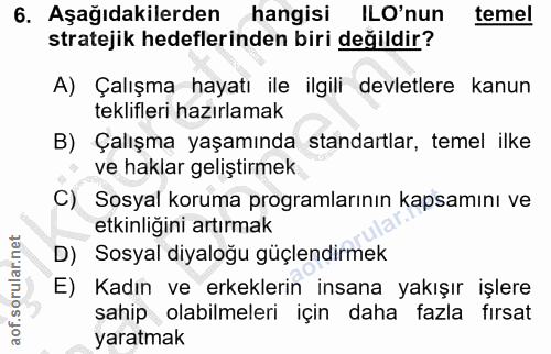 6. soru: Aşağıdakilerden hangisi ILO'nun temel stratejik hedeflerinden biri değildir? A) Çalışma hayatı ile ilgili devletlere…