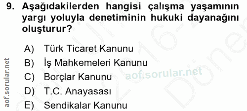 9. soru: Aşağıdakilerden hangisi çalışma yaşamının yargı yoluyla denetiminin hukuki dayanağını oluşturur? A) Türk Ticaret Kanu…