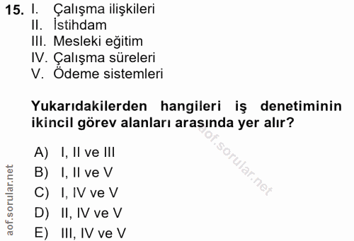 15. soru: I Çalışma ilişkileri II. İstihdam IlI. Mesleki eğitim IV. Çalışma süreleri V. Ödeme sistemleri Yukarıdakilerden hangi…