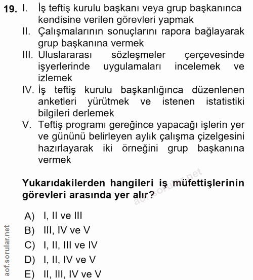 19. soru: I. İş teftiş kurulu başkanı veya grup başkanınca kendisine verilen görevleri yapmak II. Çalışmalarının sonuçlarını ra…