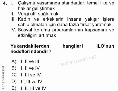 4. soru: I. Çalışma yaşamında standartlar, temel ilke ve haklar geliştirmek II. Vergi affi sağlamak Ill. Kadın ve erkeklerin i…