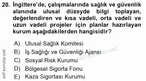 20. soru: Ingiltere'de, çalışmalarında sağlık ve güvenlik alanında ulusal düzeyde bilgi toplayan, değerlendiren ve kısa vadeli,…