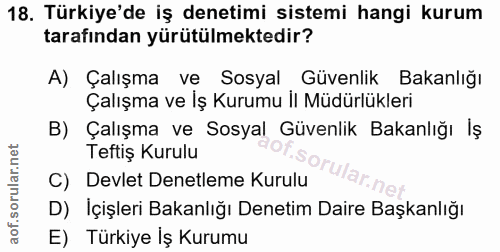 18. soru: Türkiye'de iş denetimi sistemi hangi kurum tarafından yürütülmektedir? A) Çalışma ve Sosyal Güvenlik Bakanlığı Çalışm…