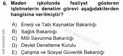 6. soru: Maden işkolunda faaliyet gösteren işletmelerin denetim görevi aşağıdakilerden hangisine verilmiştir? A) Enerji ve Tab…