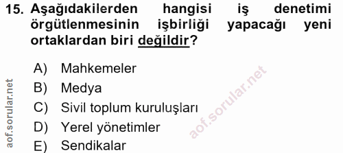 15. soru: Aşağıdakilerden hangisi iş denetimi örgütlenmesinin işbirliği yapacağı yeni ortaklardan biri değildir? A) Mahkemeler…