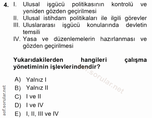 4. soru: I. Ulusal işgücü politikasının kontrolü ve yeniden gözden geçirilmesi Il. Ulusal istihdam politikaları ile ilgili gör…