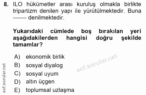 8. soru: ILO hükümetler arası kuruluş olmakla birlikte tripartizm denilen yapı ile yürütülmektedir. Buna ----- denilmektedir.…