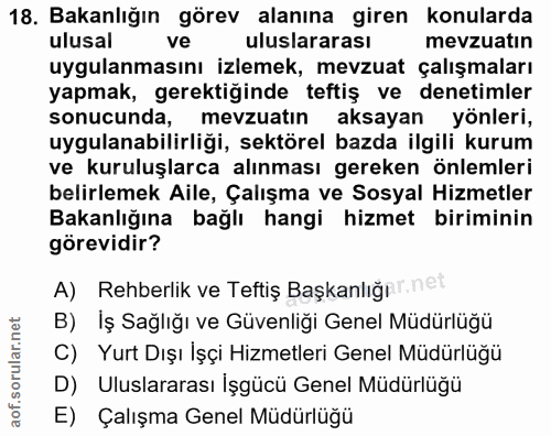 18. soru: Bakanlığın görev alanına giren konularda ulusal ve uluslararası mevzuatın uygulanmasını izlemek, mevzuat çalışmaları…