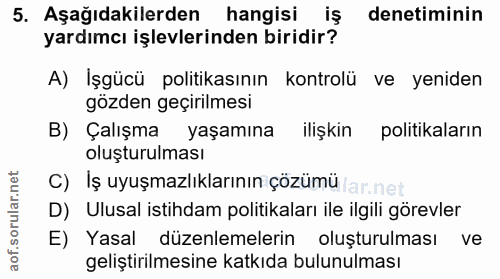 5. soru: Aşağıdakilerden hangisi iş denetiminin yardımcı işlevlerinden biridir? A) Işgücü politikasının kontrolü ve yeniden gö…