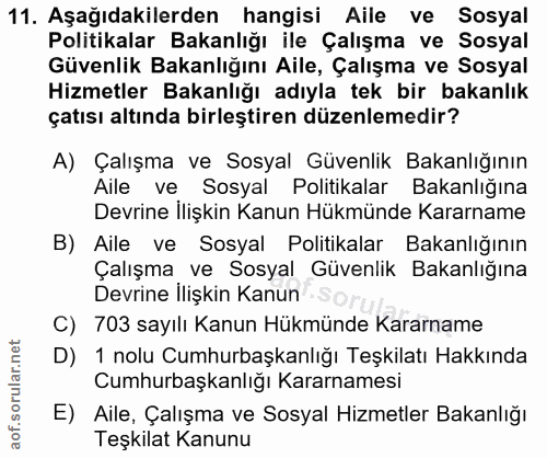 11. soru: Aşağıdakilerden hangisi Aile ve Sosyal Politikalar Bakanlığı ile Çalışma ve Sosyal Güvenlik Bakanlığını Aile, Çalışma…