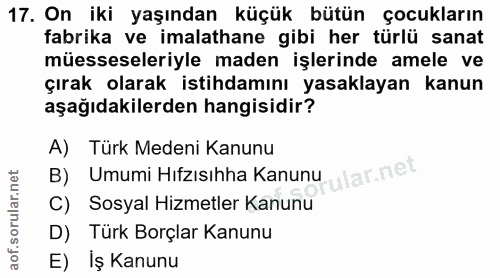17. soru: On iki yaşından küçük bütün çocukların fabrika ve imalathane gibi her türlü sanat müesseseleriyle maden işlerinde ame…