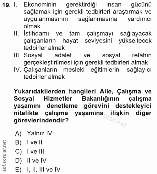19. soru: I. Ekonominin gerektirdiği insan gücünü sağlamak için gerekli tedbirleri araştırmak ve uygulanmasının sağlanmasına ya…