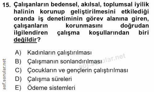 15. soru: Çalışanların bedensel, akılsal, toplumsal iyilik halinin korunup geliştirilmesini etkilediği oranda iş denetiminin gö…