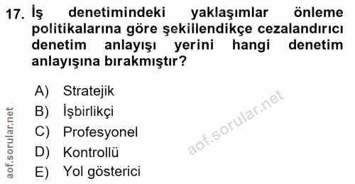 17. soru: Is denetimindeki yaklaşımlar önleme politikalarına göre şekillendikçe cezalandırıcı denetim anlayışı yerini hangi den…